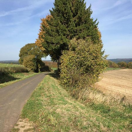 Ferienwohnung-Freuen Blankenheim  Luaran gambar