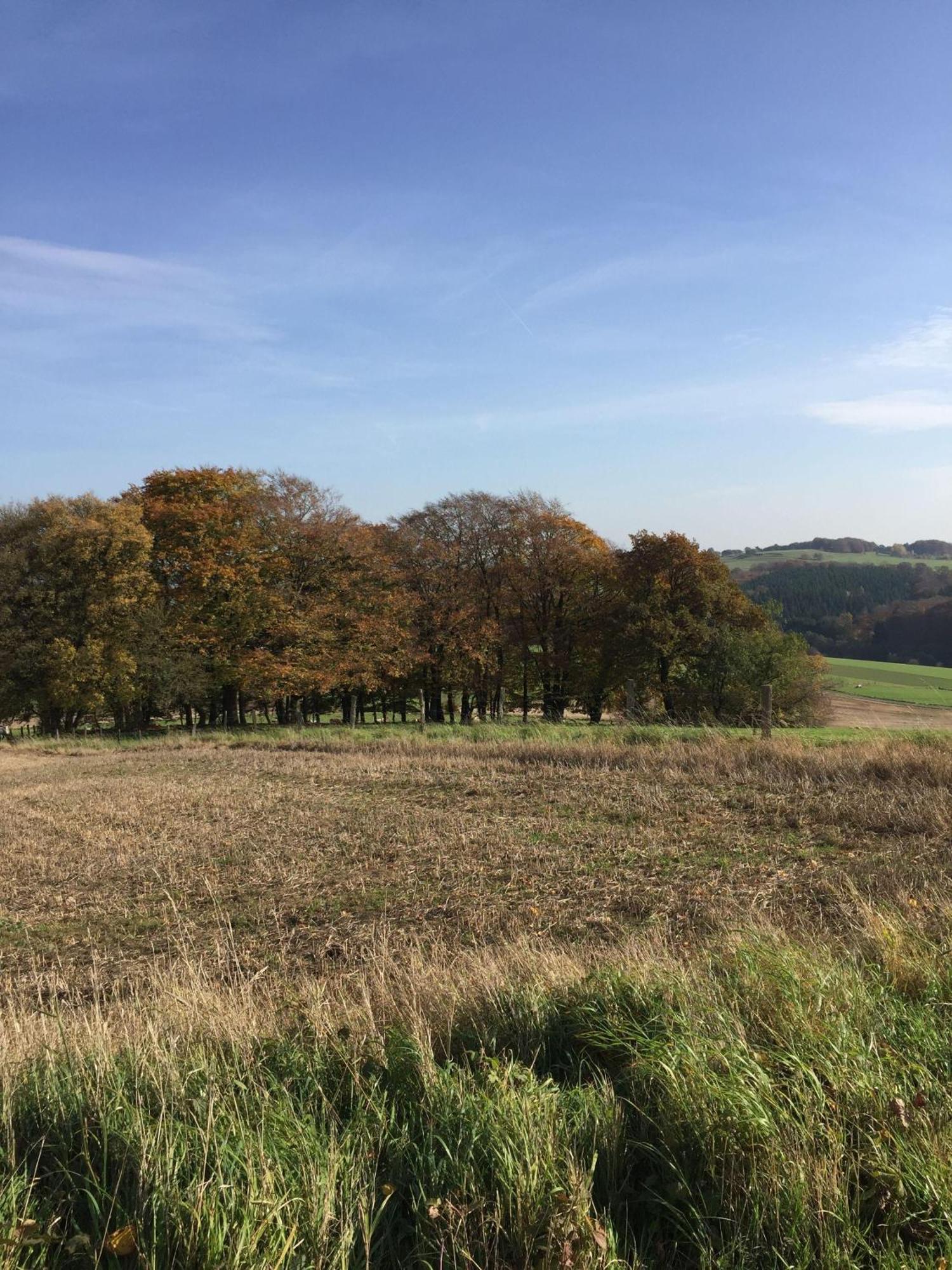 Ferienwohnung-Freuen Blankenheim  Luaran gambar